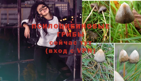гашишное масло Алзамай