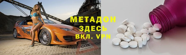 индика Няндома
