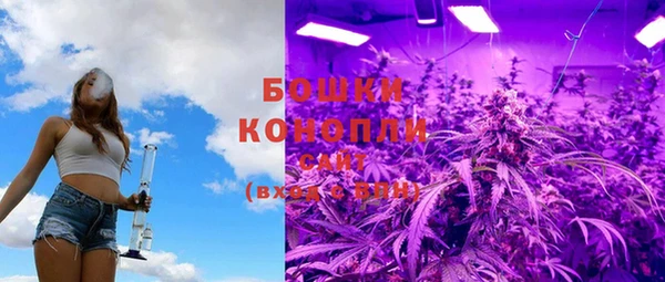 дурь Алексеевка