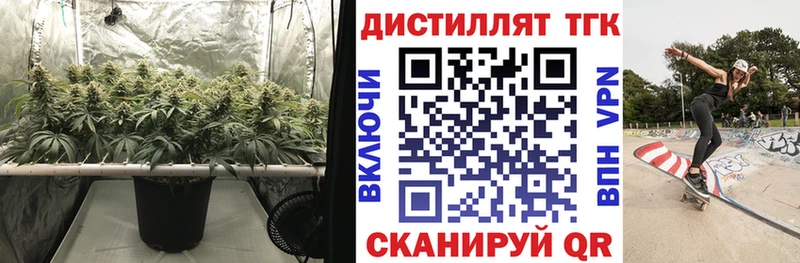 ТГК концентрат  Северская 